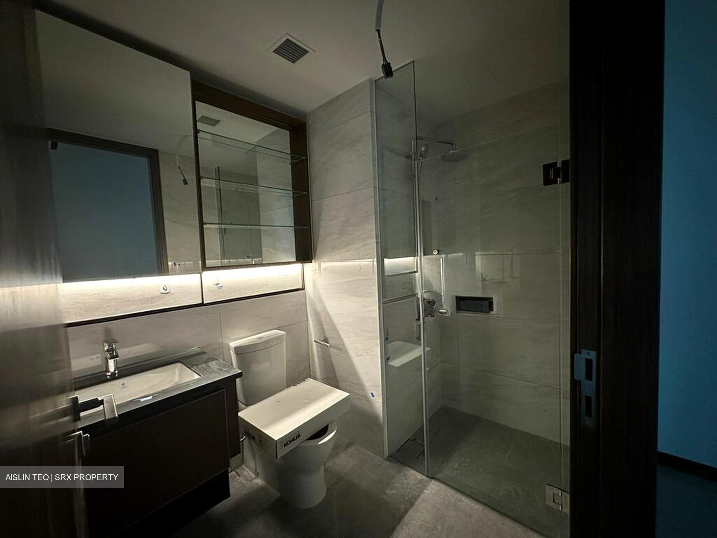 Normanton Park (D5), Apartment #499982631